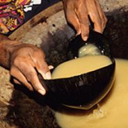 Ceremonial Plant Medicines