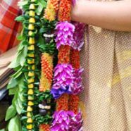 Kava and Family – Creating Unity through Ceremony