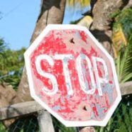 Driving Under the Influence of Kava