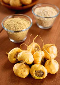 Yummy Recipes with Our Organic Maca Root!