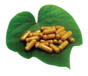 Kava Capsules